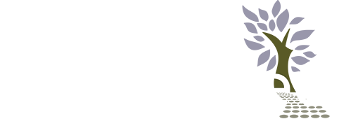 Signal Tree Solutions